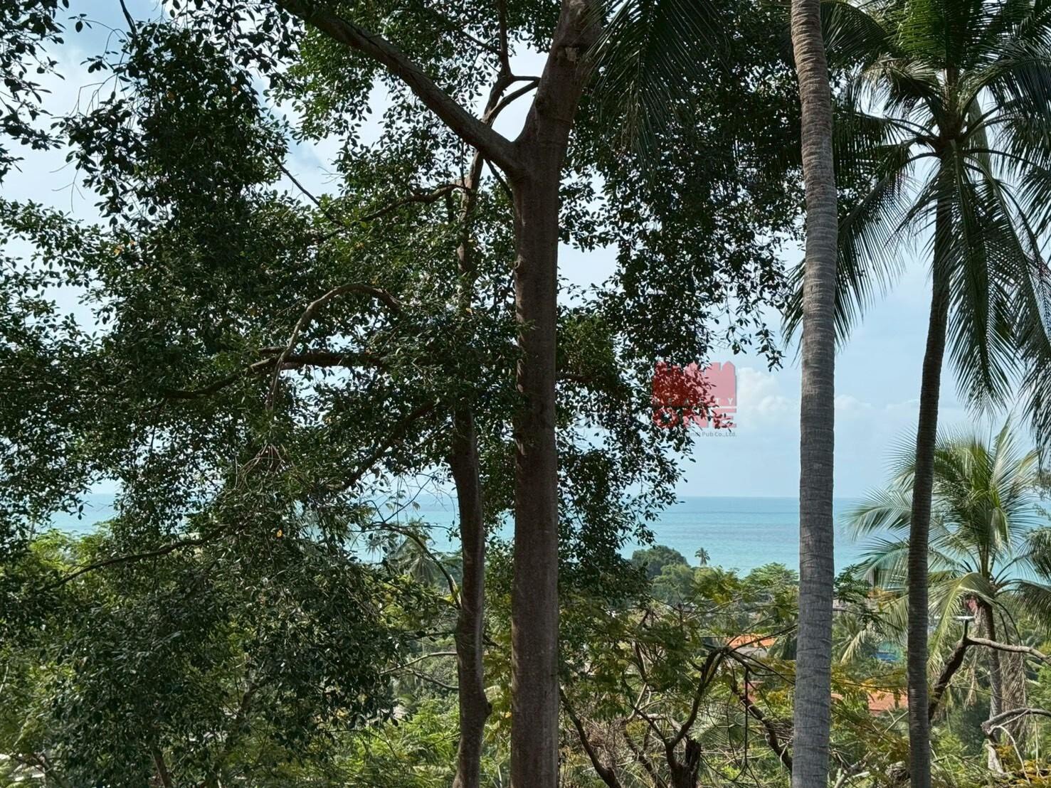 Sea-View Land for Sale – Bangpor Soi 2