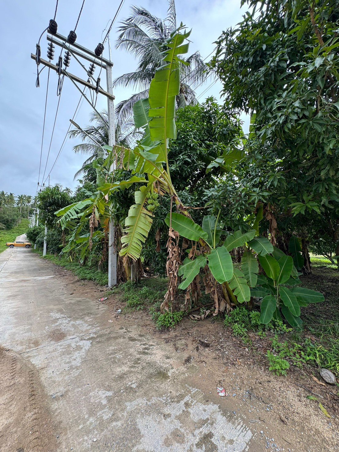 Mountain view Land for Long-Term Lease