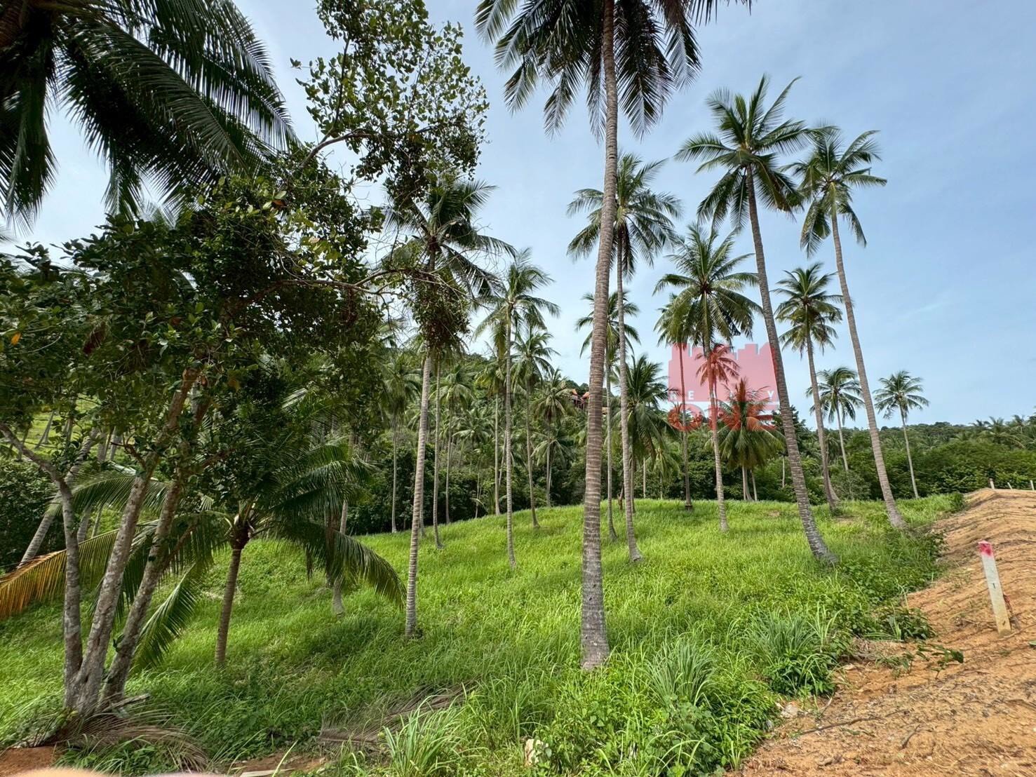 Land Plots for Sale – Bang Por, Koh Samui