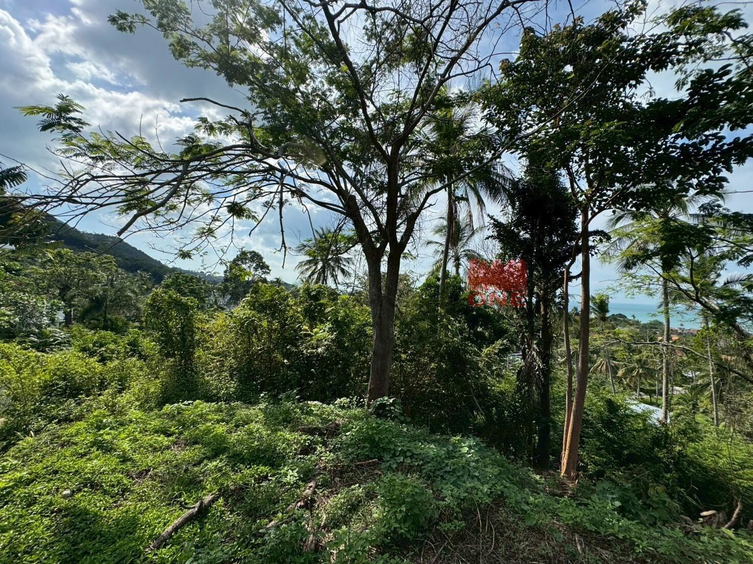 Sea-View Land for Sale – Bangpor Soi 2