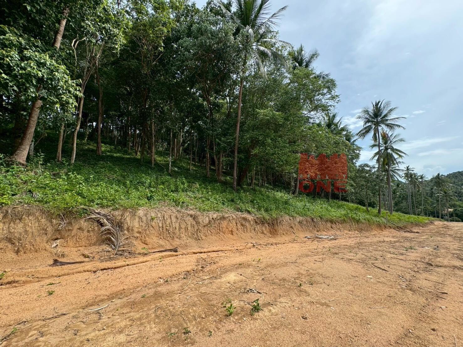 Land Plots for Sale – Bang Por, Koh Samui
