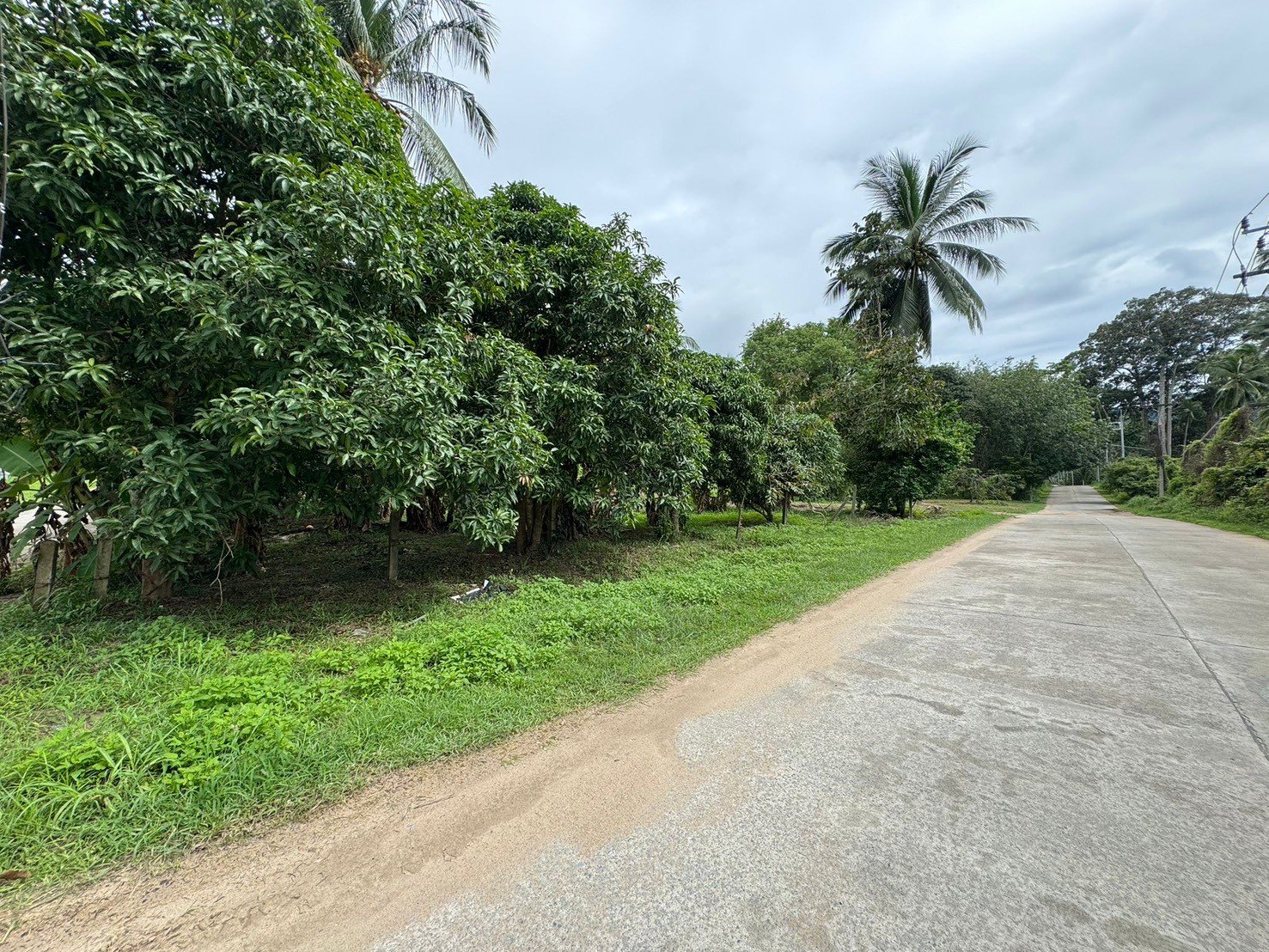 Mountain view Land for Long-Term Lease