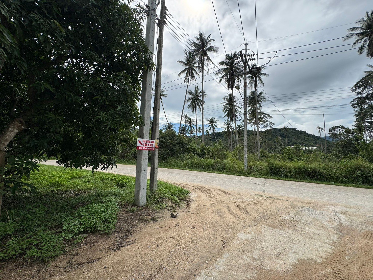 Mountain view Land for Long-Term Lease