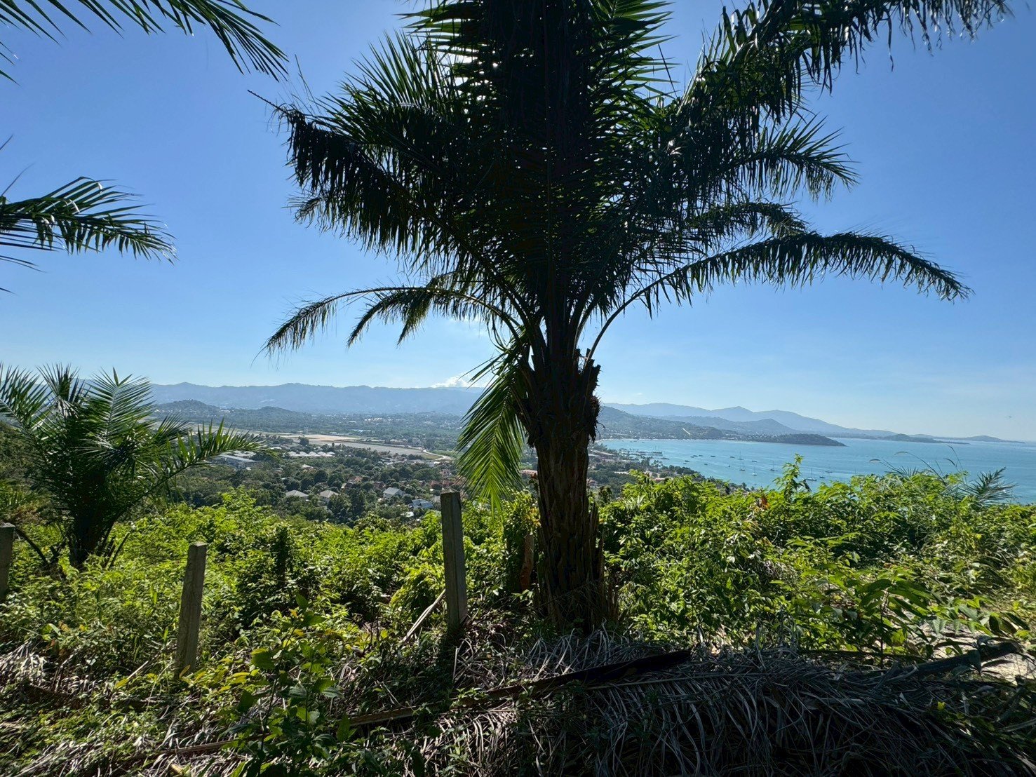 Seaview Land for Salet - Plai laem