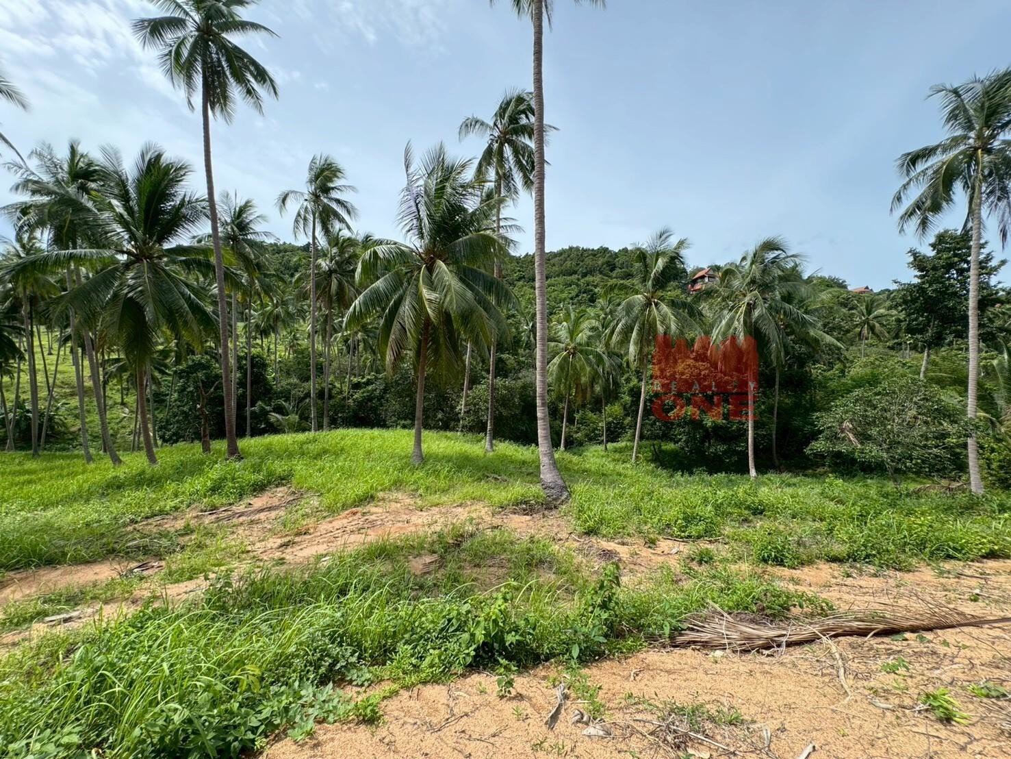 Land Plots for Sale – Bang Por, Koh Samui